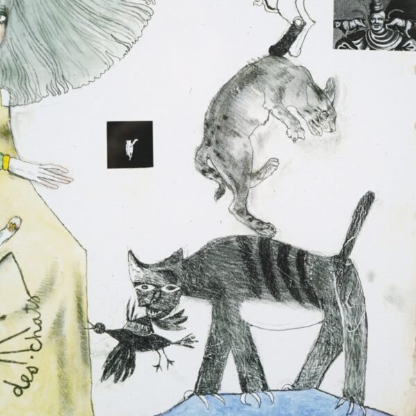 宇野 亞喜良｜ピカソとフジタとミロと私の猫。そしてコクトーの猫