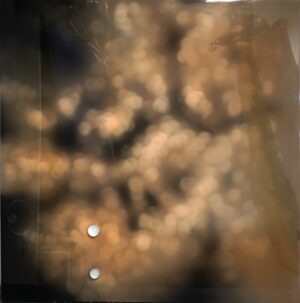 LOT 006 ダリオ･ウルザイ