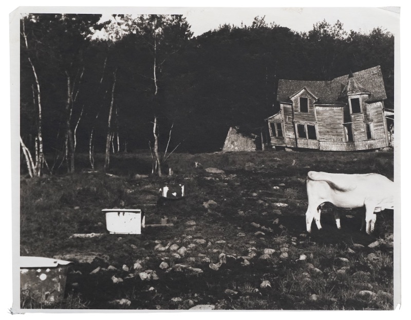 LOT 301 ロレンス・ハフ