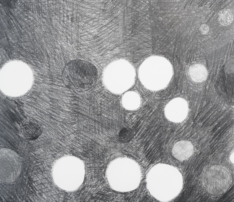 LOT 092 青木 野枝