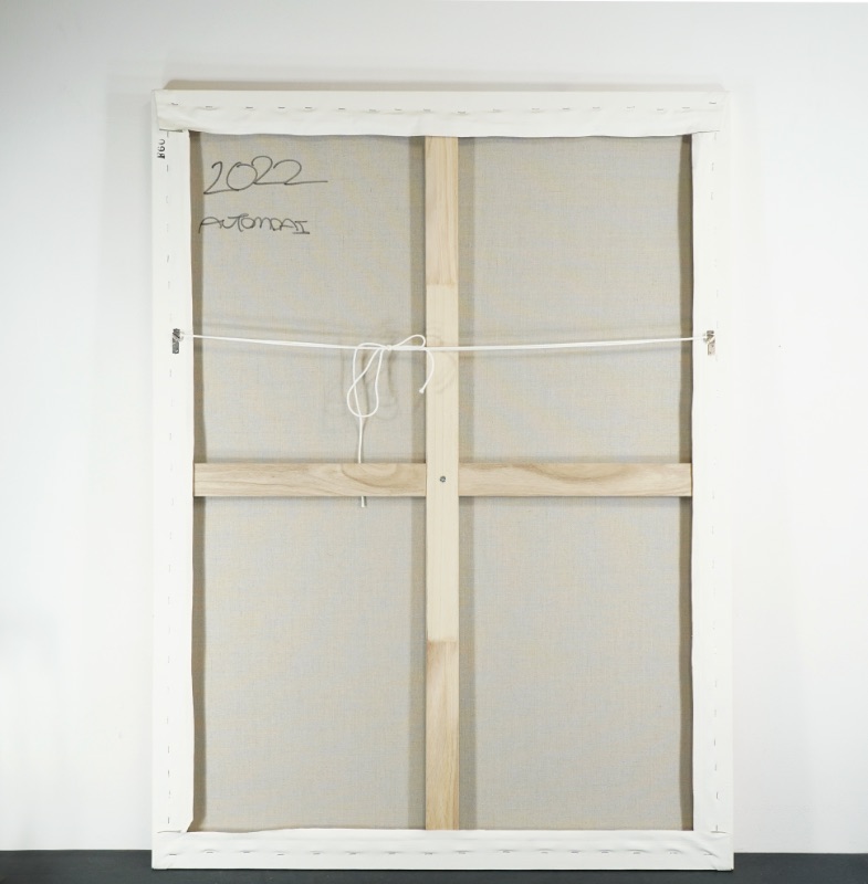 LOT 014 オートモアイ