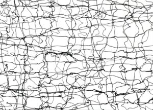 LOT 081 名和 晃平