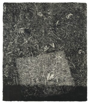 LOT 153 中林 忠良