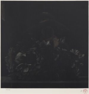 LOT 165 藤田 吉香