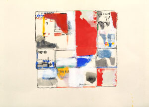 佐野 ぬい｜1996年5月19日