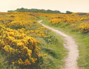 LOT 015 大城 真人