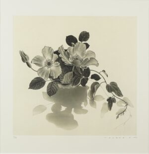 LOT 131 武田 史子