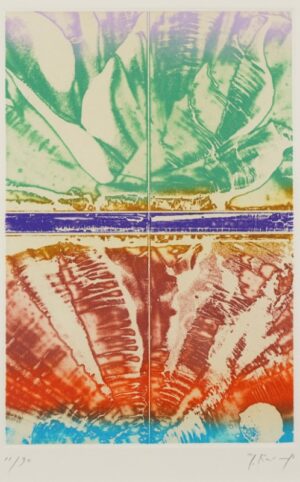 LOT 088 加納 光於