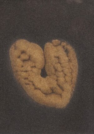 LOT 340 宮尾 豊彦
