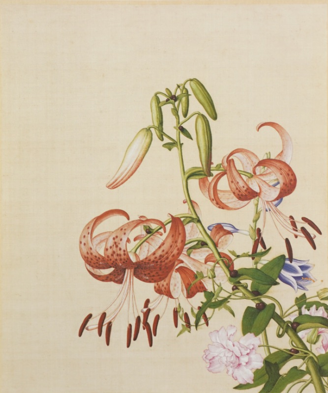 LOT 285 井堂 雅夫