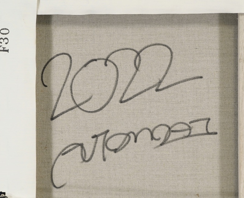 LOT 021 オートモアイ