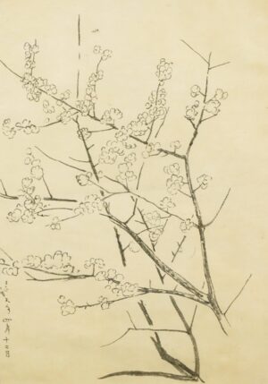 LOT 064 田中 佐一郎