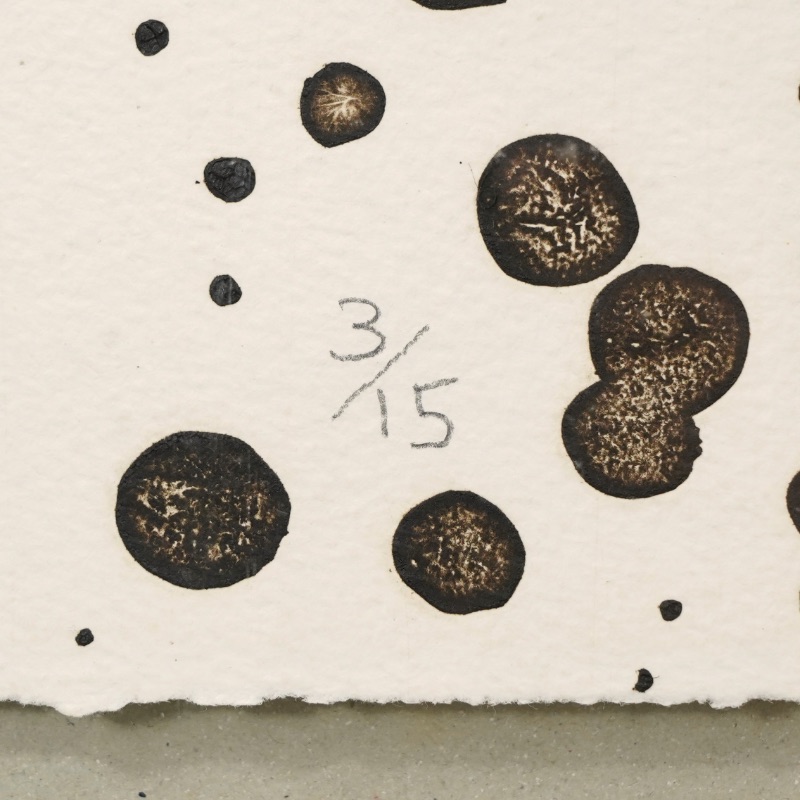 LOT 089 青木 野枝