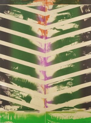 LOT 117 加納 光於