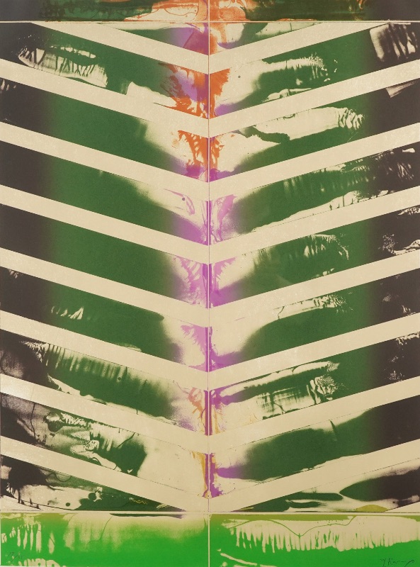LOT 117 加納 光於