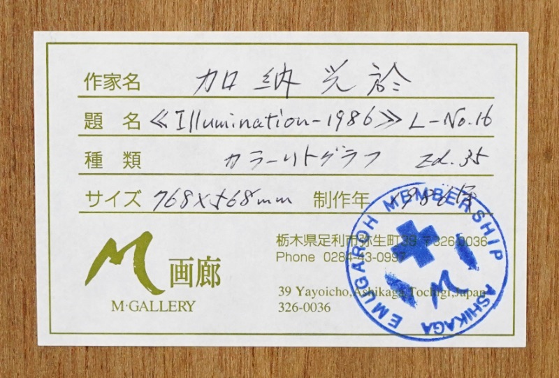 LOT 117 加納 光於