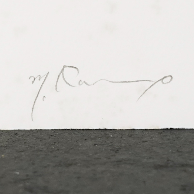 LOT 119 加納 光於