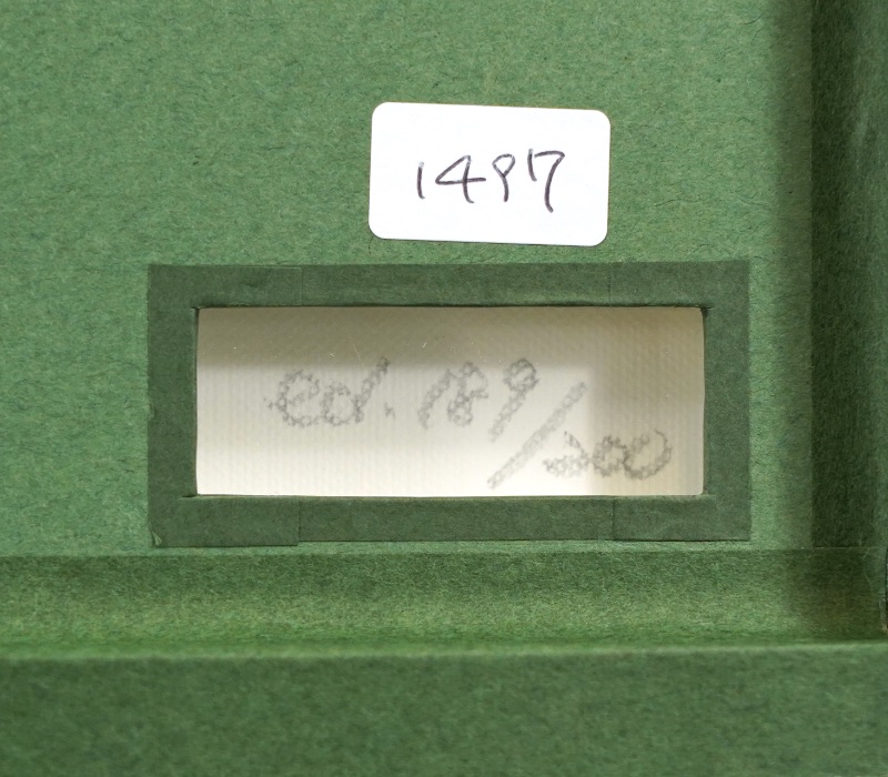 LOT 154 名和 晃平
