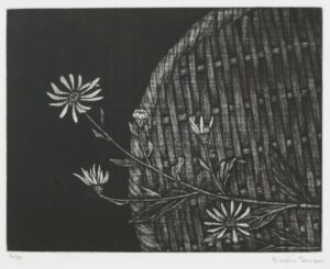 LOT 146 丹阿弥 丹波子