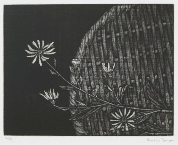 LOT 146 丹阿弥 丹波子 – YOOC-ART
