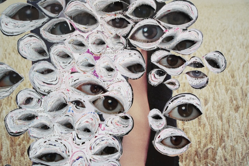 LOT 255 木村 太陽
